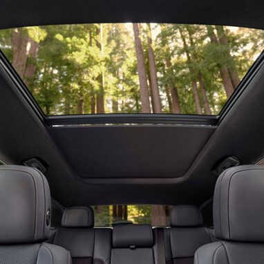 2026 Honda Prologue Elite interior with a panoramic moonroof.
